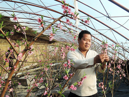 ½ʦʮɫֲڴⰻȻһʢ