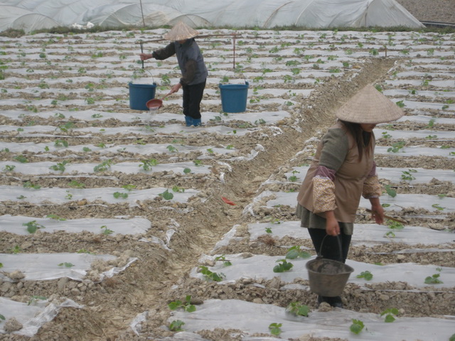 �����������¶�����3000Ķ�ƹ�ʾ�����ط�����������