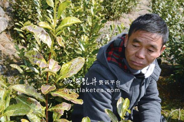 �㽭���Σ����������¡��㽭��һ��衱����һ��