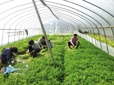 �㽭�����д�����ӹ���� ÿ�������40Ԫ