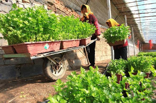 212գɽʡīдֲԱ۵۲ˡ