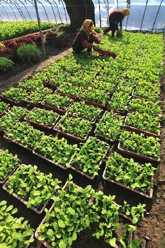 212գɽʡīдֲԱڲͲˡ