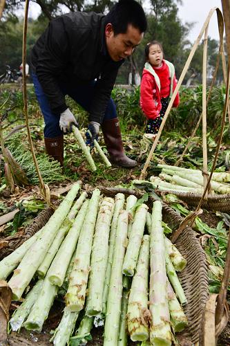 212գڹа˲Ŵ壬ũճݫ