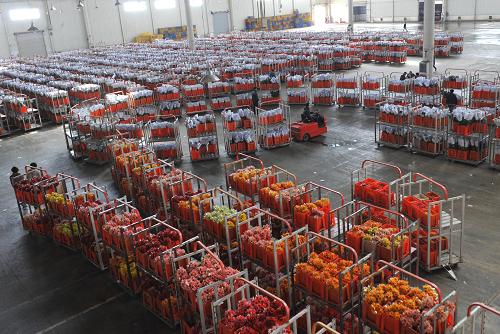 211գԱʻĲֿת˸ʻڸýƽÿɽл350֦