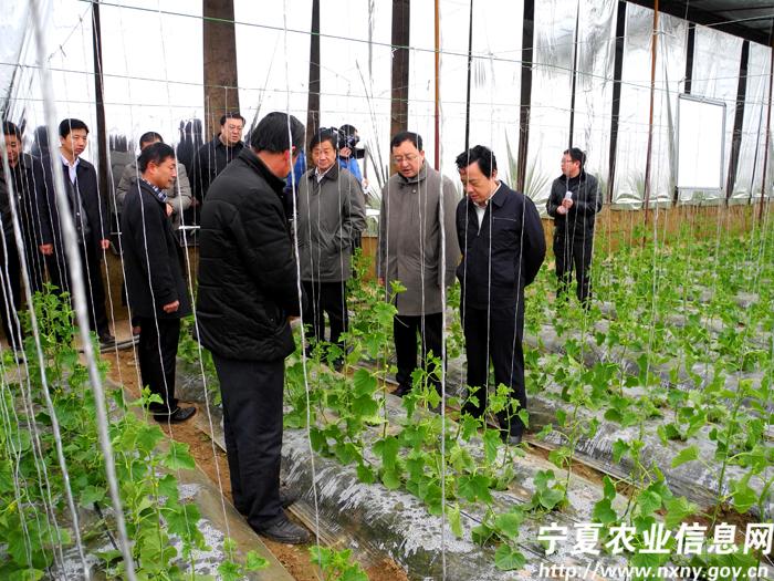 ģǿɫũҵҵٽũҵЧũ