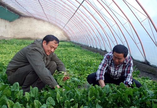 �½����Ŷ�ʦ��ʮ�Ŵ��ﴺ��Ũ