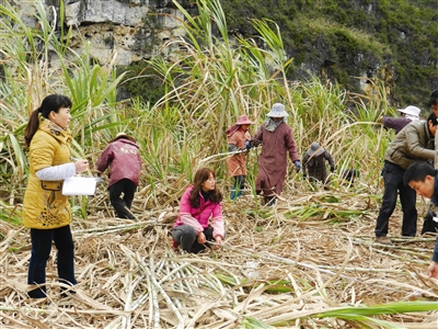 ������������������Ķ������8��