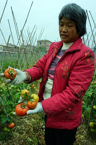 ˫壬һλũչʾܶ213㣩