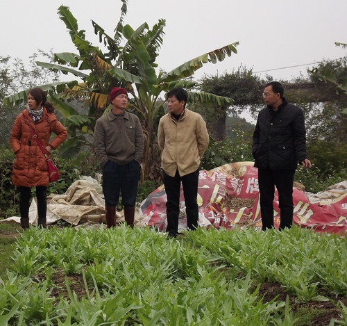 �������Ǹ���ũί�쵼��̲Ӫ����߲�����