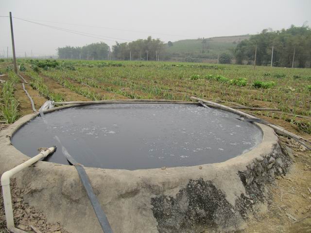 ���������غ�Ƥ��������ƹ��޹���ʩ�ʼ���