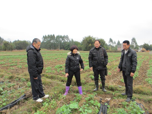 �������ݣ�ũ����Ա������Ԫ��ָ��������������������