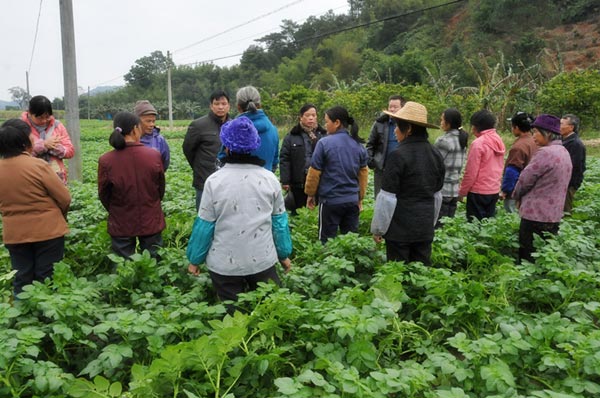 �����ֱ���������������������