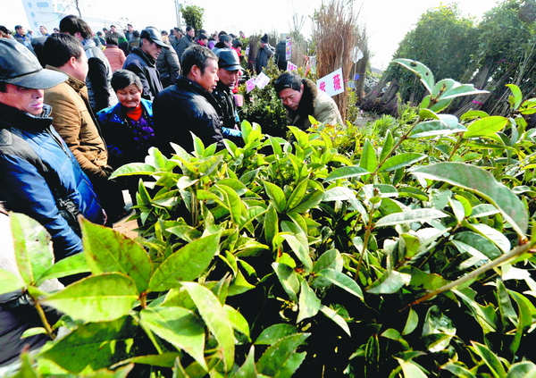 215գȫľгʮ֣ũץס´ֲʱ׷ѡĹľʱ׼