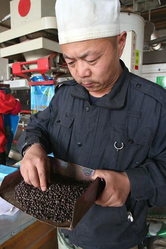 2月17日,在新疆铁门关市,生产建设兵团第二师二十九团职工在检查春耕棉种。
