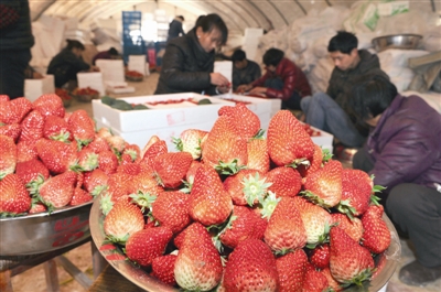 ���պ��Ų�ݮȫʡ����ժ��