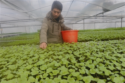 ���պ�����ũ������������30����