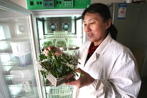 217գ½ŹУŵڶʦʮһũҵԱڽзѿʵ顣