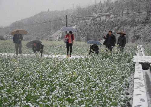 ũҵַֹ͹ĸֳ֯վԱͲ˸߲̤