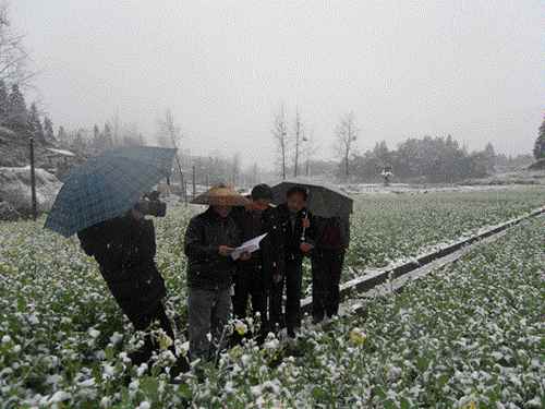 ũҵַֹ͹ĸֳУ֯վԱͲصָȺڷ