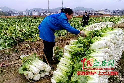 219գũȫĸɽ߲˻ز߲ˡϤûذĶ޹߲ӭգΪزũ40Ԫ롣