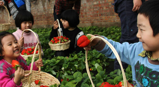 ɹŰͷеزݮֲߵʮ·