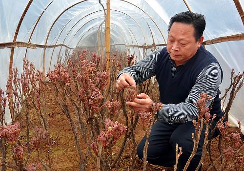 ����������ĵ�������� ԰������æ