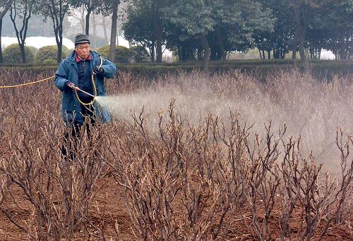 2��20�գ�һλ԰�ֹ�����ĵ����������ҩ���β��溦