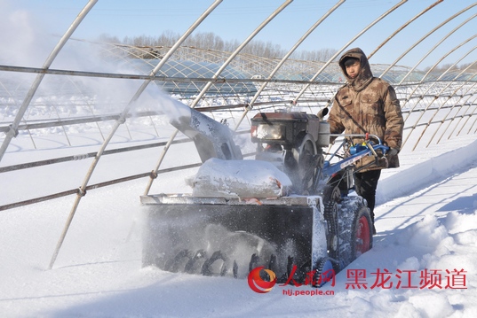 ºÚÁú½Ê¡¸÷µØÇÀǰץÔ籸´º¸û2