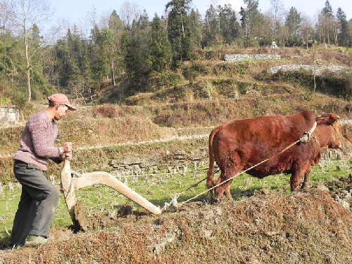 ����ǭ���������ũʱ æ���� ����ũʱ