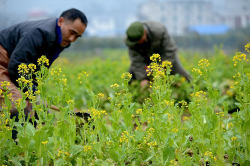 223գںʡʩӴ壬ո˻