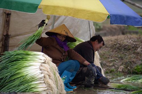 2��23�գ��ڹ�����������������ʯ���ֵ��Ͽڴ壬�����ڵ�ͷ��ϴ��С�