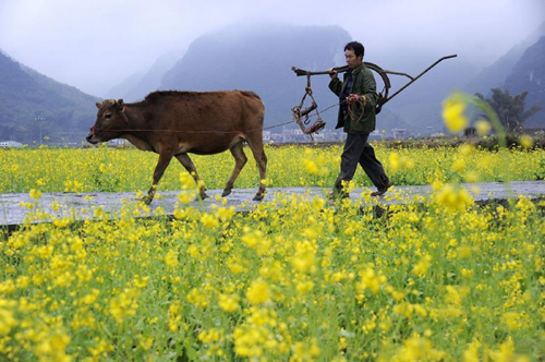 222գ޳İʯŴĴǣţء