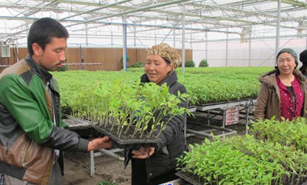 �½������أ��������硱��������