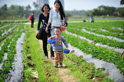 ����������ݮ�� �����ڶ��ο�ǰ����ժ