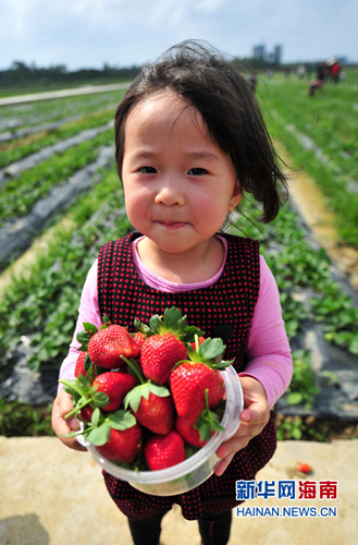 2��23�գ�һ��С���������Լ��ղ�ժ�Ĳ�ݮ��