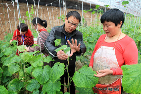 ���ջ����У�ũ����Ա������ũ