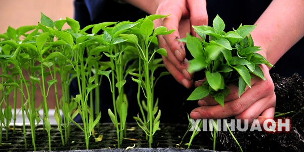 2��20�գ��ຣʡ�������ֶ���ũҵʾ��԰������Ա���������Ѿ������õ�����