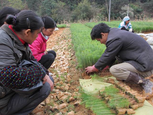 �����������ּ佨������ľ�� �ٽ����ֱ�����