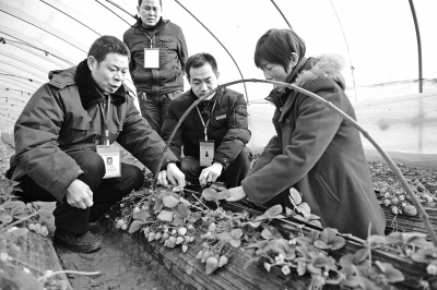 ����ƽ�ߣ���Ұ�����ˡ���������ӡ�