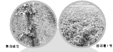 ��������ũ��1�š��ں����������������ͻ��