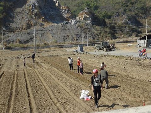 ����������չ����������ʾ�� ̽����ֲ��ģʽ