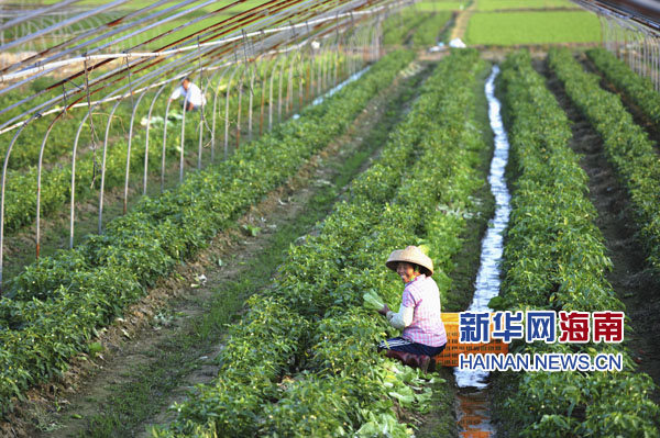 2��24�գ�����ʡ�����мλ����ũ�����ջ�ϲˡ�