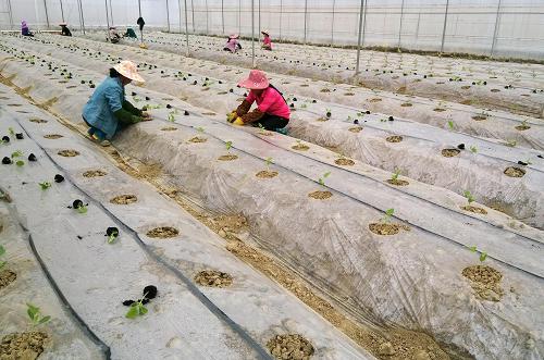 224գũڹɫҽһֲֲֹ硣