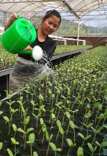 224գһԱڹɫҽ糡罽ˮ