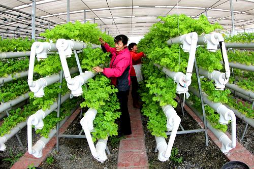 224գԱ½ŵڶʦŹжʮšʽࡱҴ߲ˡ