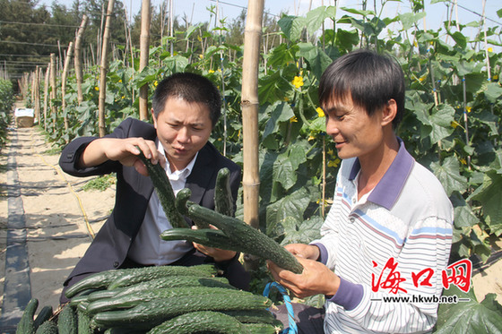 “小鹅”与农民携手同行 让海南农民过上城市日子