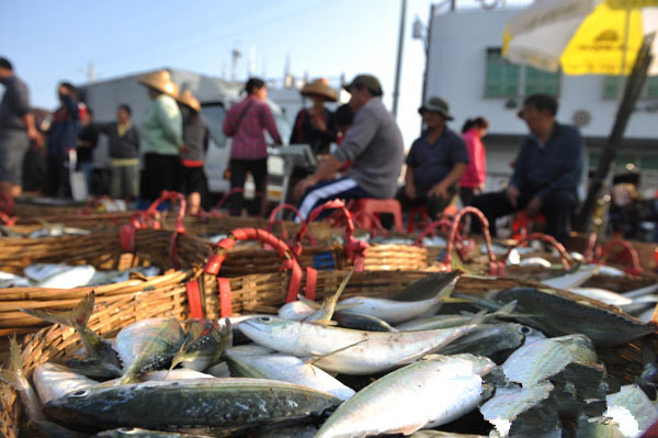 225գʡ̶Ÿ۵ͷкƷס