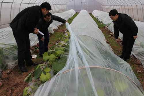 Ⱥ߲˻أũҵּԱָ߲˴ϣұù