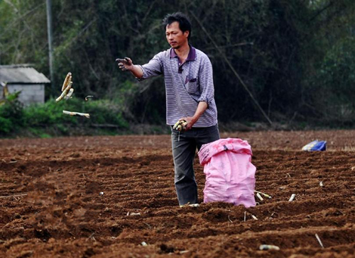 226գо¡һũֲжϵ֡