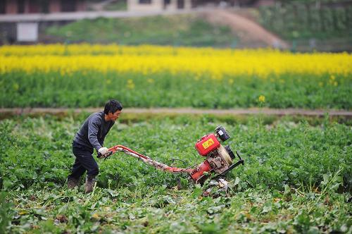 重庆:不误农时春耕忙